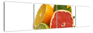 Citrusové plody - obraz (Obraz 160x40cm)
