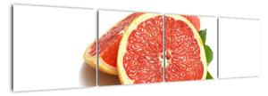 Grapefruit - obraz (Obraz 160x40cm)