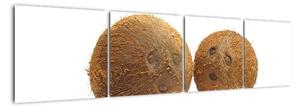 Kokosový orech, obraz (Obraz 160x40cm)