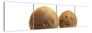 Kokosový orech, obraz (Obraz 160x40cm)