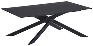 KONFERENČNÝ STOLÍK, čierna, kov, sklo, 115/65/42 cm Stylife - Stolíky do obývačky