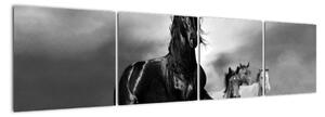 Čiernobiely obraz koňov (Obraz 160x40cm)