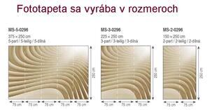 Dimex fototapeta MS-5-0296 3D béžové vlny 375 x 250 cm