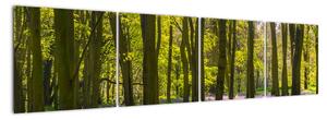Obraz lesa (Obraz 160x40cm)