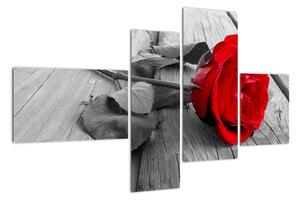 Obraz ruže s červeným kvetom (Obraz 110x70cm)