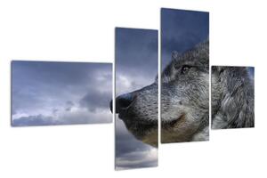 Obraz vlka (Obraz 110x70cm)