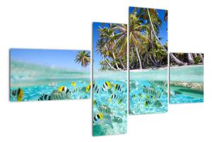 Obraz tropického mora (Obraz 110x70cm)