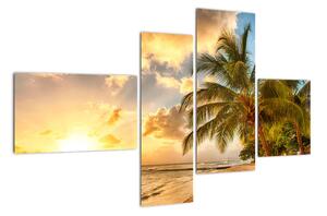Obraz palmy na piesočnatej pláži (Obraz 110x70cm)