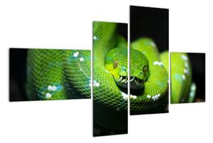 Obraz zvierat - had (Obraz 110x70cm)