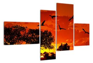 Obraz zapadajúceho slnka s vtákmi (Obraz 110x70cm)