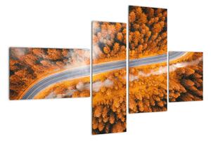 Cesta lesom - moderné obrazy na stenu (Obraz 110x70cm)