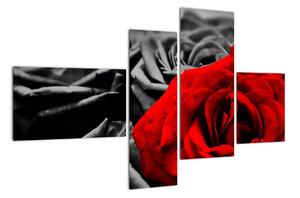 Obraz červené ruže (Obraz 110x70cm)