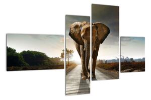 Obraz kráčajúceho slona (Obraz 110x70cm)