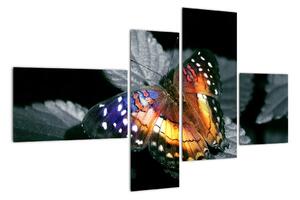 Motýľ na liste - obraz (Obraz 110x70cm)