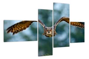Obraz letiaci sovy (Obraz 110x70cm)