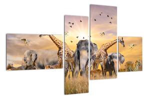 Obraz - safari (Obraz 110x70cm)