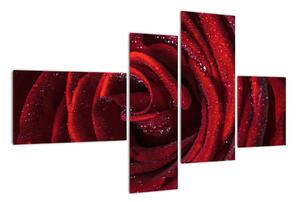 Obraz červené ruže (Obraz 110x70cm)