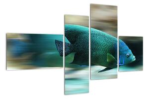 Obraz na stenu - ryby (Obraz 110x70cm)