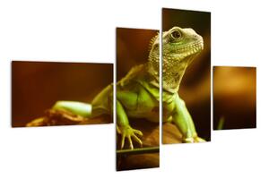 Obraz na stenu - zvieratá (Obraz 110x70cm)