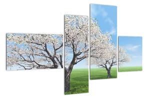 Obraz kvitnúceho stromu na jarné lúke (Obraz 110x70cm)