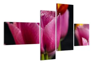 Tulipány - obrazy (Obraz 110x70cm)