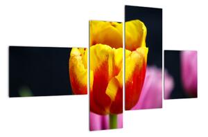 Obraz tulipánu (Obraz 110x70cm)