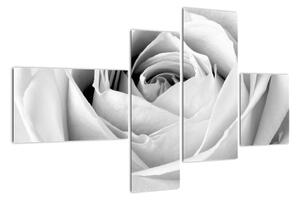 Čiernobiely obraz ruže (Obraz 110x70cm)