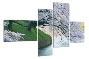Obraz kvitnúcich stromov (Obraz 110x70cm)