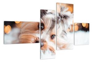 Obraz psa (Obraz 110x70cm)
