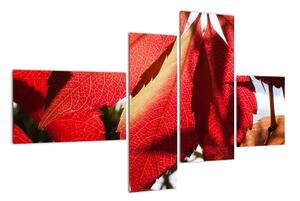 Obraz červených listov (Obraz 110x70cm)