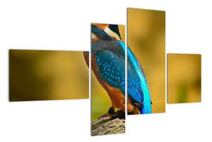 Obraz - farebný vták (Obraz 110x70cm)