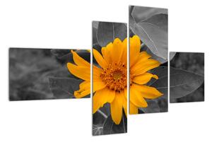 Obraz oranžového kvetu (Obraz 110x70cm)