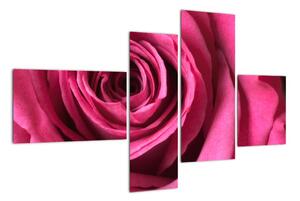Obraz ružové ruže (Obraz 110x70cm)