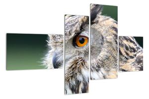 Vyzerajúce sova - obraz (Obraz 110x70cm)