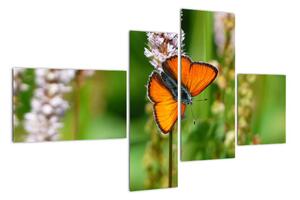 Moderný obraz motýľa na lúke (Obraz 110x70cm)