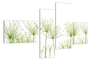 Obraz rastlín na bielom pozadí (Obraz 110x70cm)