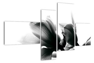 Obraz čiernobielych kvetov (Obraz 110x70cm)
