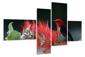 Obraz vtákov - červená (Obraz 110x70cm)