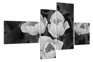 Čiernobiele kvety (Obraz 110x70cm)