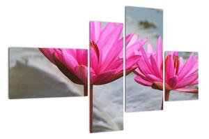 Obraz dvoch kvetov (Obraz 110x70cm)