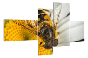 Obraz - detail včely (Obraz 110x70cm)