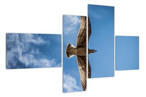 Obraz letiaceho vtáka (Obraz 110x70cm)