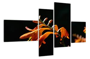 Obraz detailu kvety (Obraz 110x70cm)