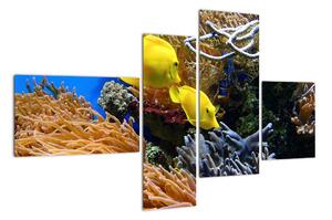 Podmorský svet - obraz (Obraz 110x70cm)