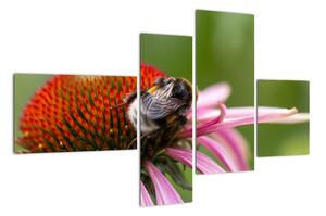 Obraz včely na kvete (Obraz 110x70cm)