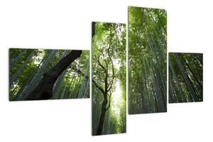 Obraz lesov (Obraz 110x70cm)