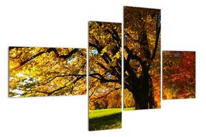Obraz jesennej krajiny (Obraz 110x70cm)