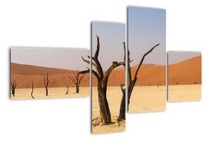 Obraz púšte (Obraz 110x70cm)
