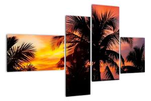 Obraz palmy na stenu (Obraz 110x70cm)