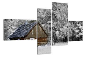 Chaloupka v zime, obrazy (Obraz 110x70cm)